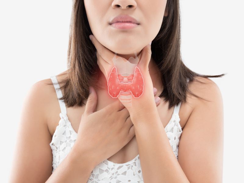 What You Should Know About Thyroid Health