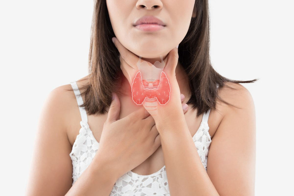 What You Should Know About Thyroid Health